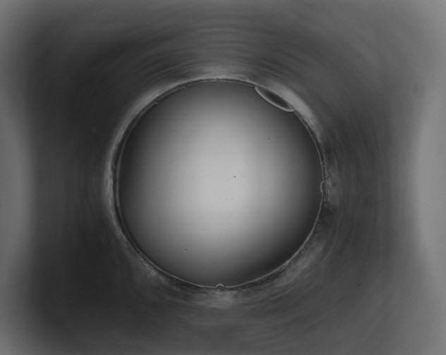 X0000100931096200806241400