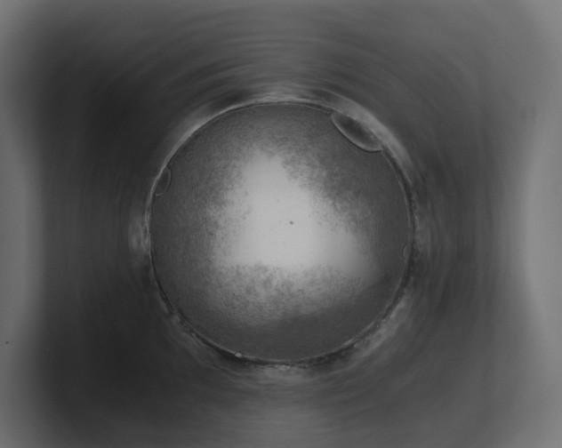 X0000100931097200806241400