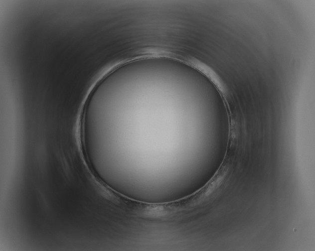 X0000100931098200806241400