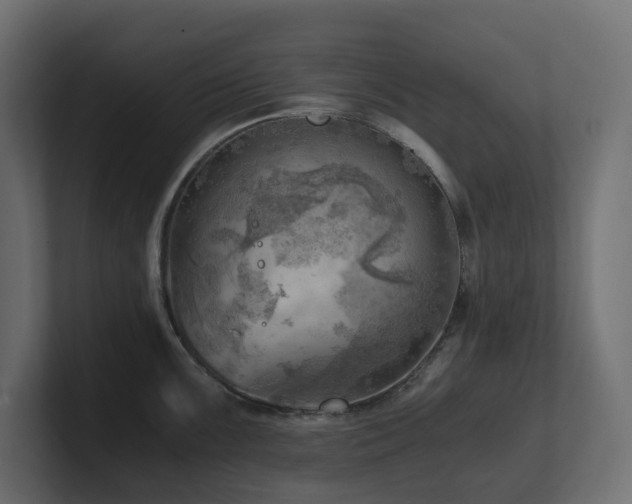 X0000100931099200806241400