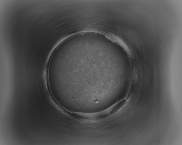 X0000100931100200806241400