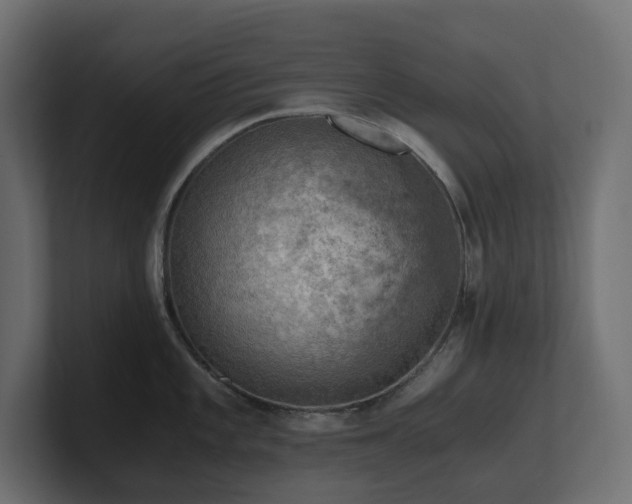 X0000100931101200806241400