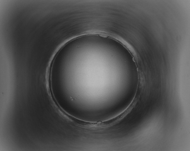 X0000100931102200806241400