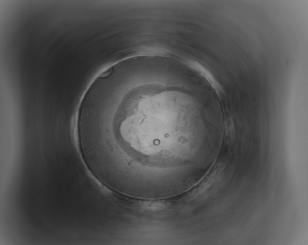 X0000100931103200806241400