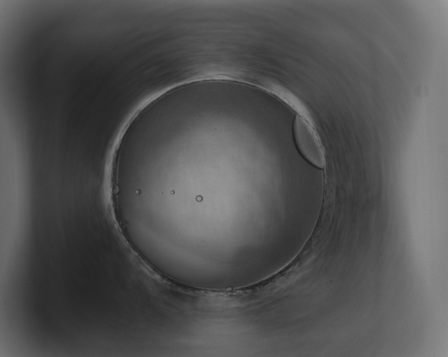 X0000100931104200806241400