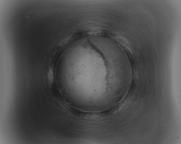 X0000100931106200806241359