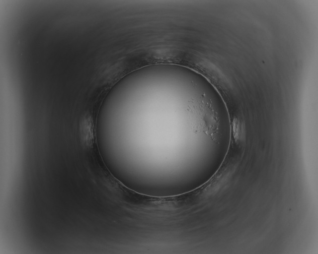 X0000100931107200806241359