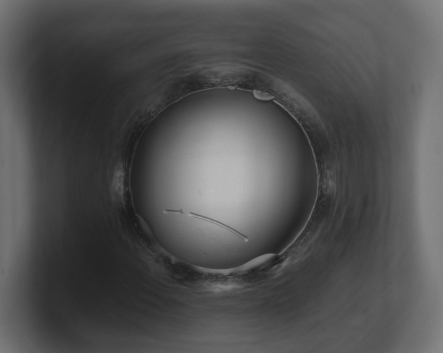 X0000100931108200806241359