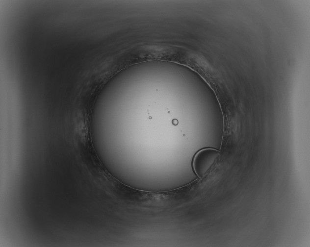 X0000100931109200806241359