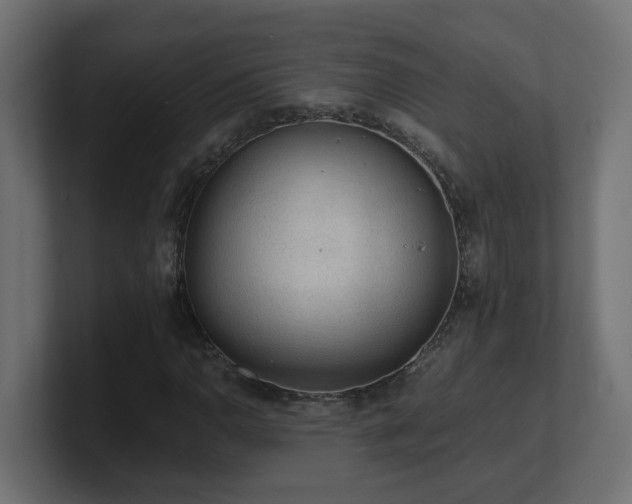 X0000100931110200806241359