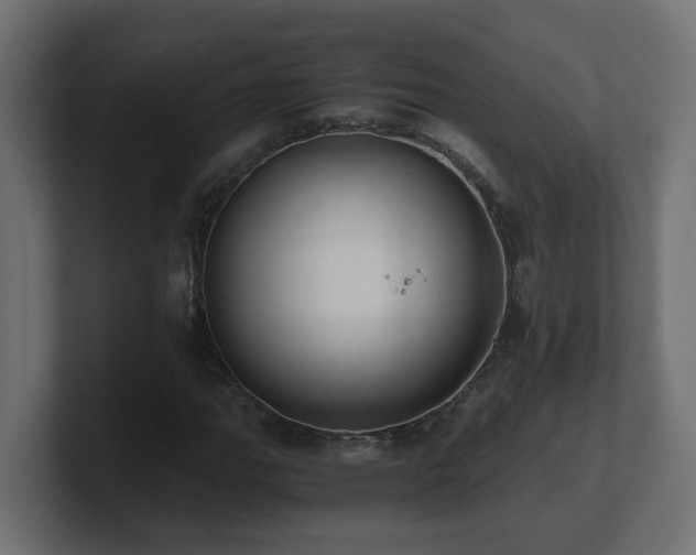 X0000100931111200806241359