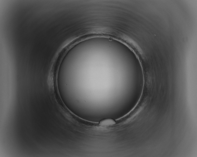 X0000100931114200806241359