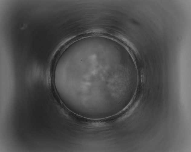 X0000100931117200806241359