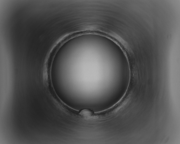 X0000100931118200806241359