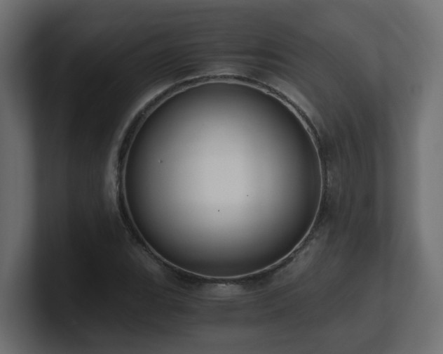 X0000100931119200806241359