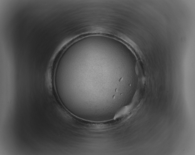 X0000100931120200806241359