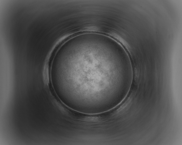 X0000100931123200806241359