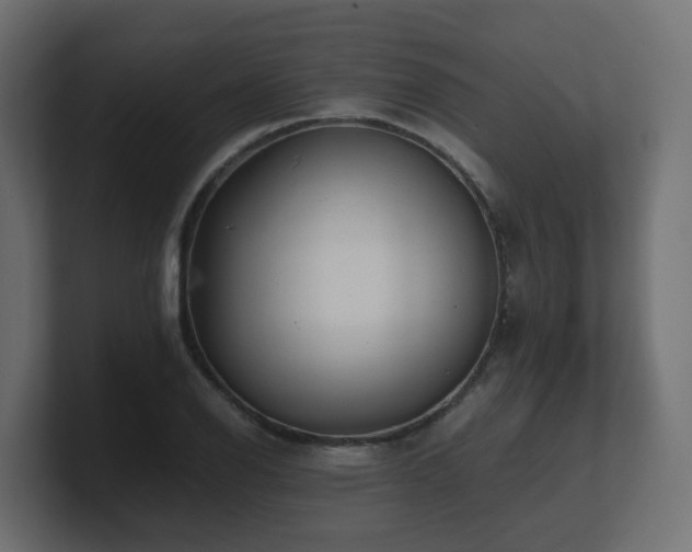 X0000100931126200806241359