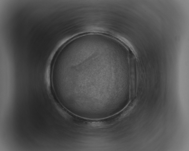 X0000100931128200806241359