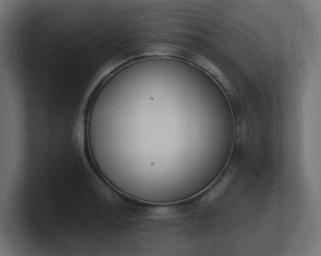 X0000100931130200806241359