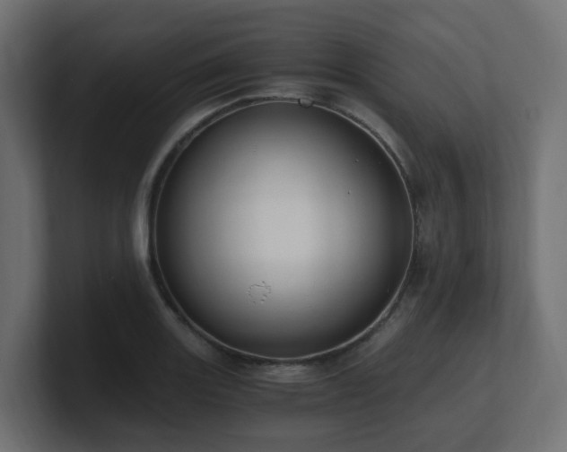 X0000100931131200806241359