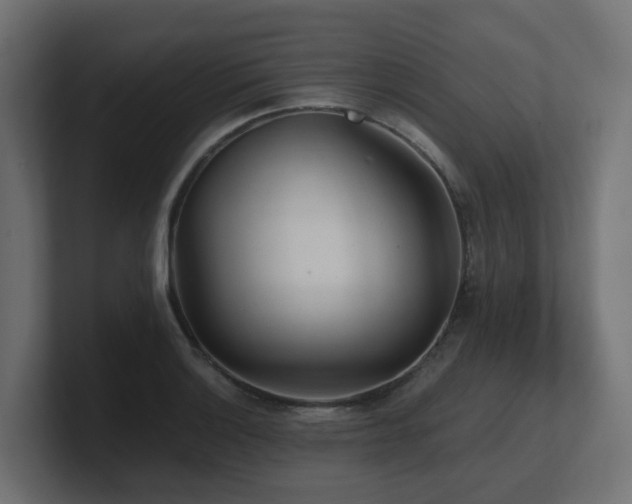 X0000100931132200806241359