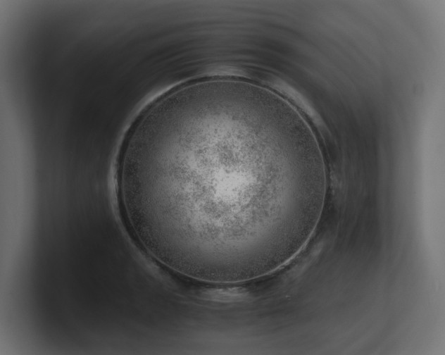 X0000100931133200806241359