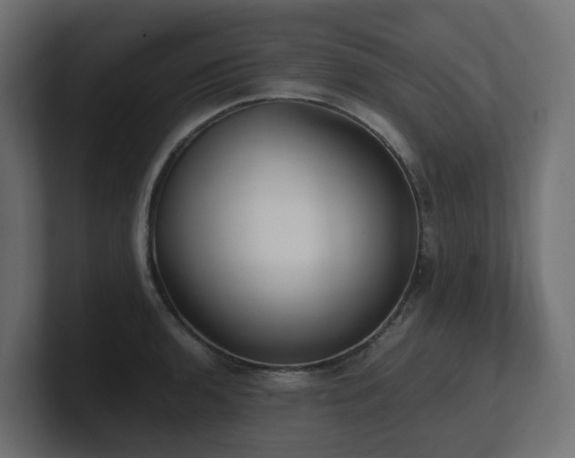 X0000100931136200806241359