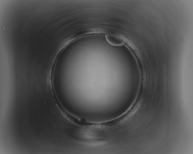 X0000100931137200806241400