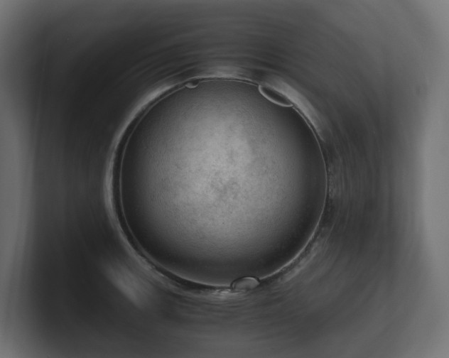 X0000100931139200806241400