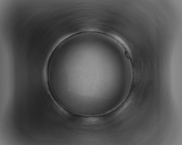 X0000100931141200806241400