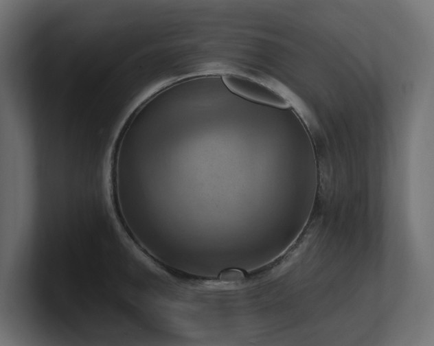 X0000100931142200806241400