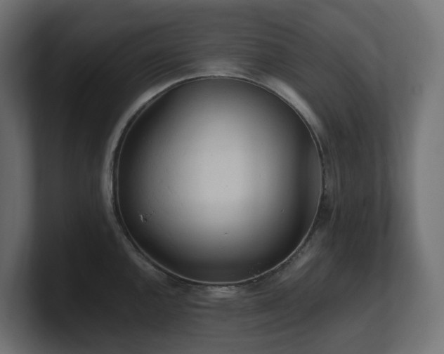 X0000100931144200806241400