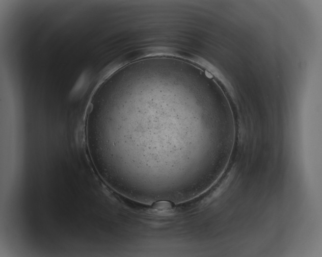 X0000100931145200806241400