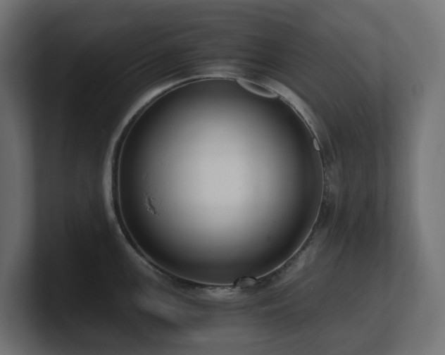 X0000100931147200806241400