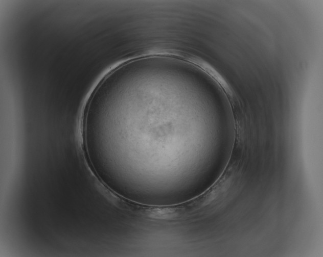 X0000100931148200806241400