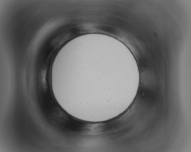 X0000100931150200806241400