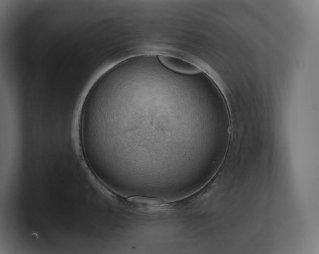 X0000100931152200806241400