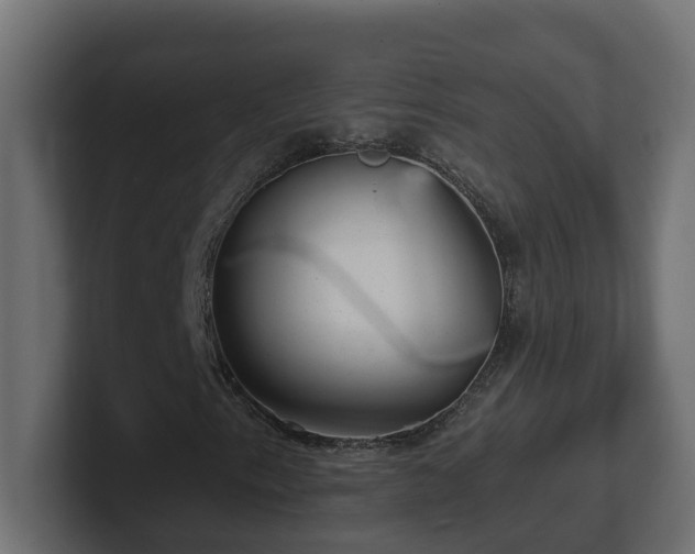 X0000100931153200806241359