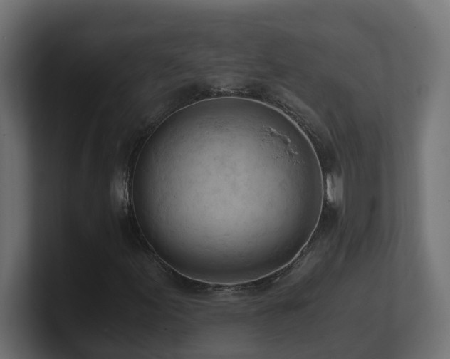 X0000100931155200806241359