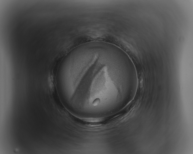 X0000100931156200806241359