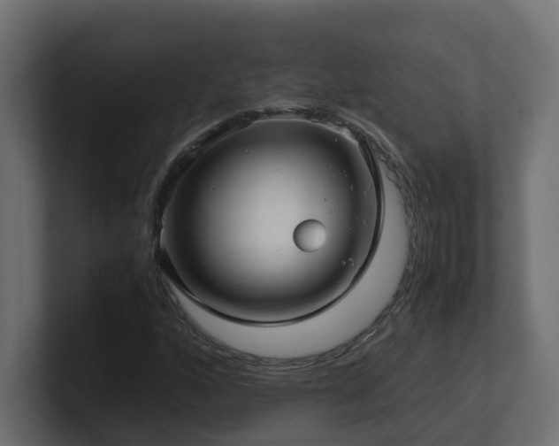 X0000100931160200806241359