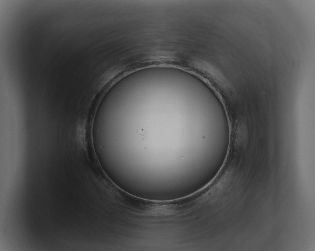 X0000100931162200806241359