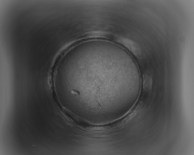 X0000100931164200806241359