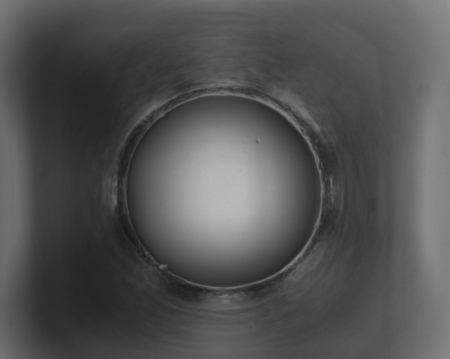 X0000100931165200806241359