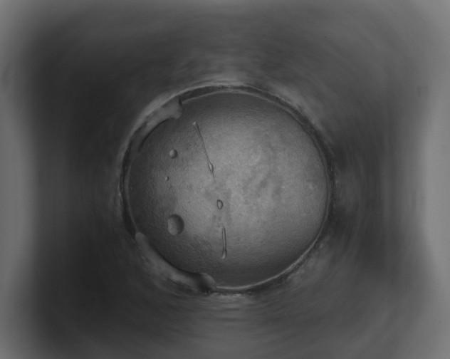 X0000100931168200806241359