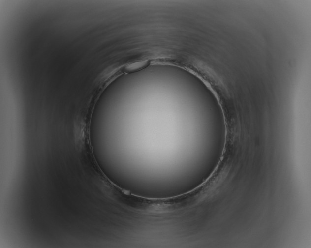 X0000100931169200806241359