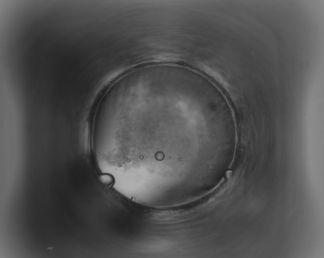 X0000100931171200806241359