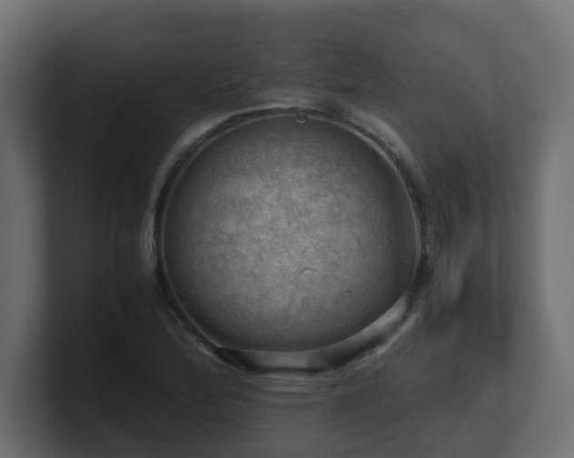 X0000100931172200806241359