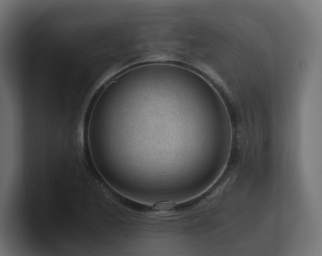 X0000100931173200806241359